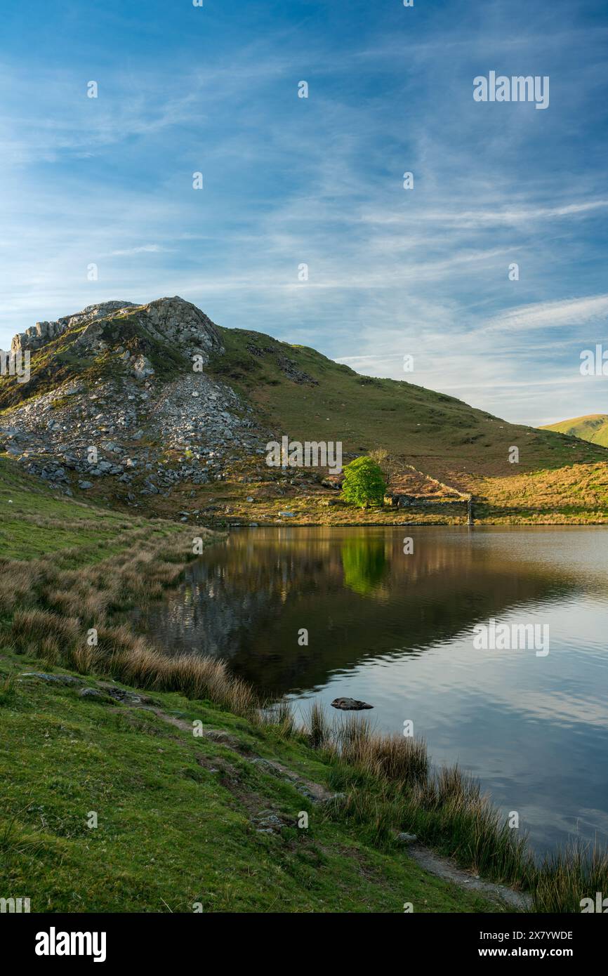 Llyn y Dywarchen und Clogwyngarreg bei Sonnenuntergang im Eryri-Nationalpark, Wales, Großbritannien Stockfoto