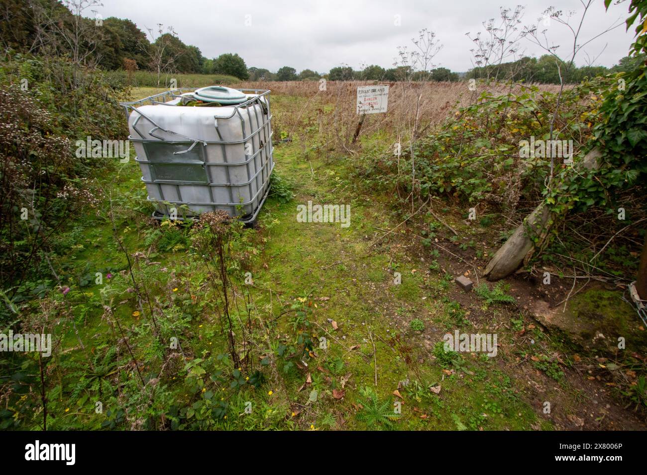 Ein großer Plastiktank, der auf einem unbewohnten und bewachsenen Feld zwischen Manningtree und Bradfield in Essex steht, vielleicht eine große Fliege, die umkippt? Stockfoto