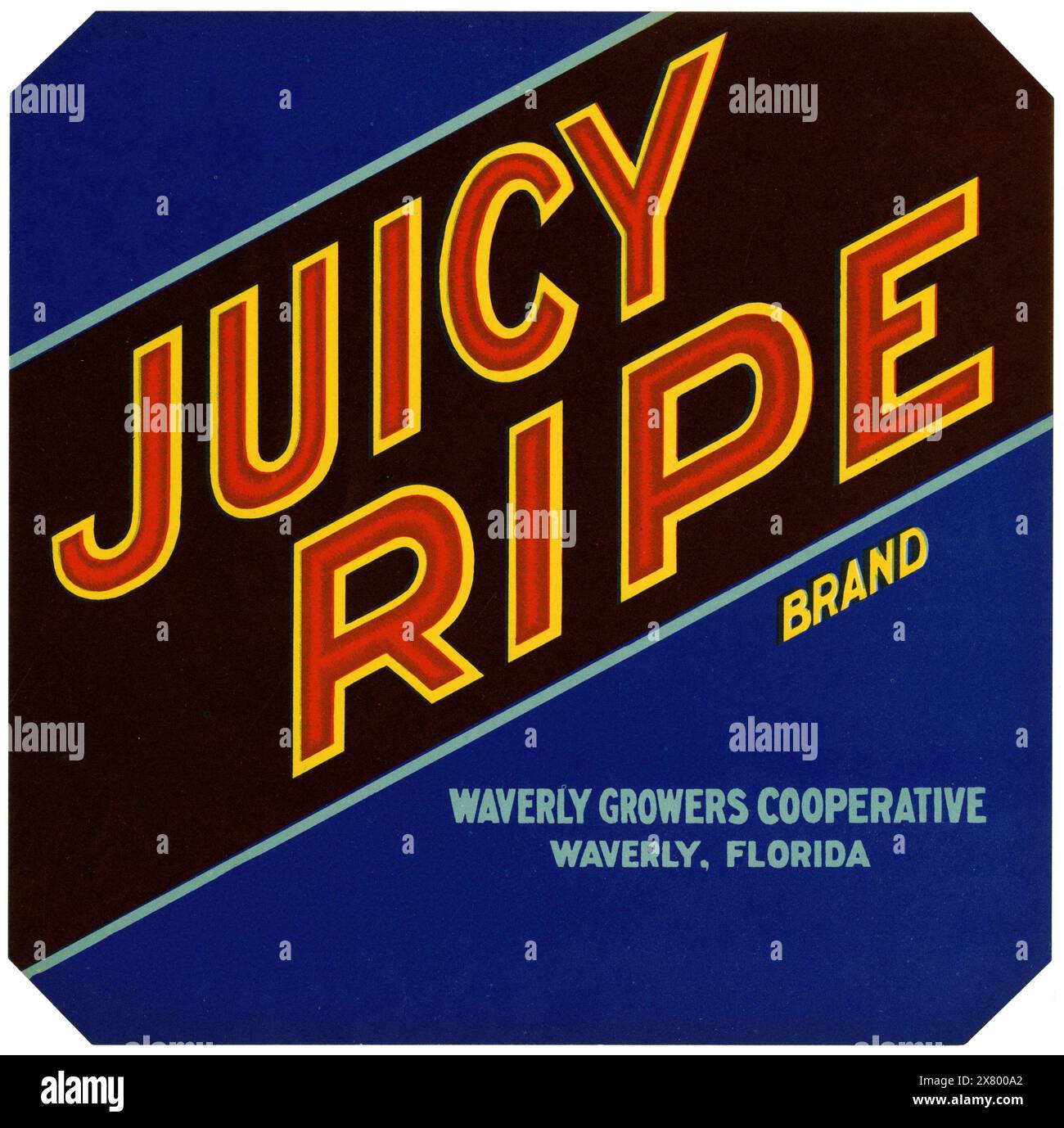 Juicy Reife Brand Citrus Label (1940er Jahre) anonymer Künstler Stockfoto