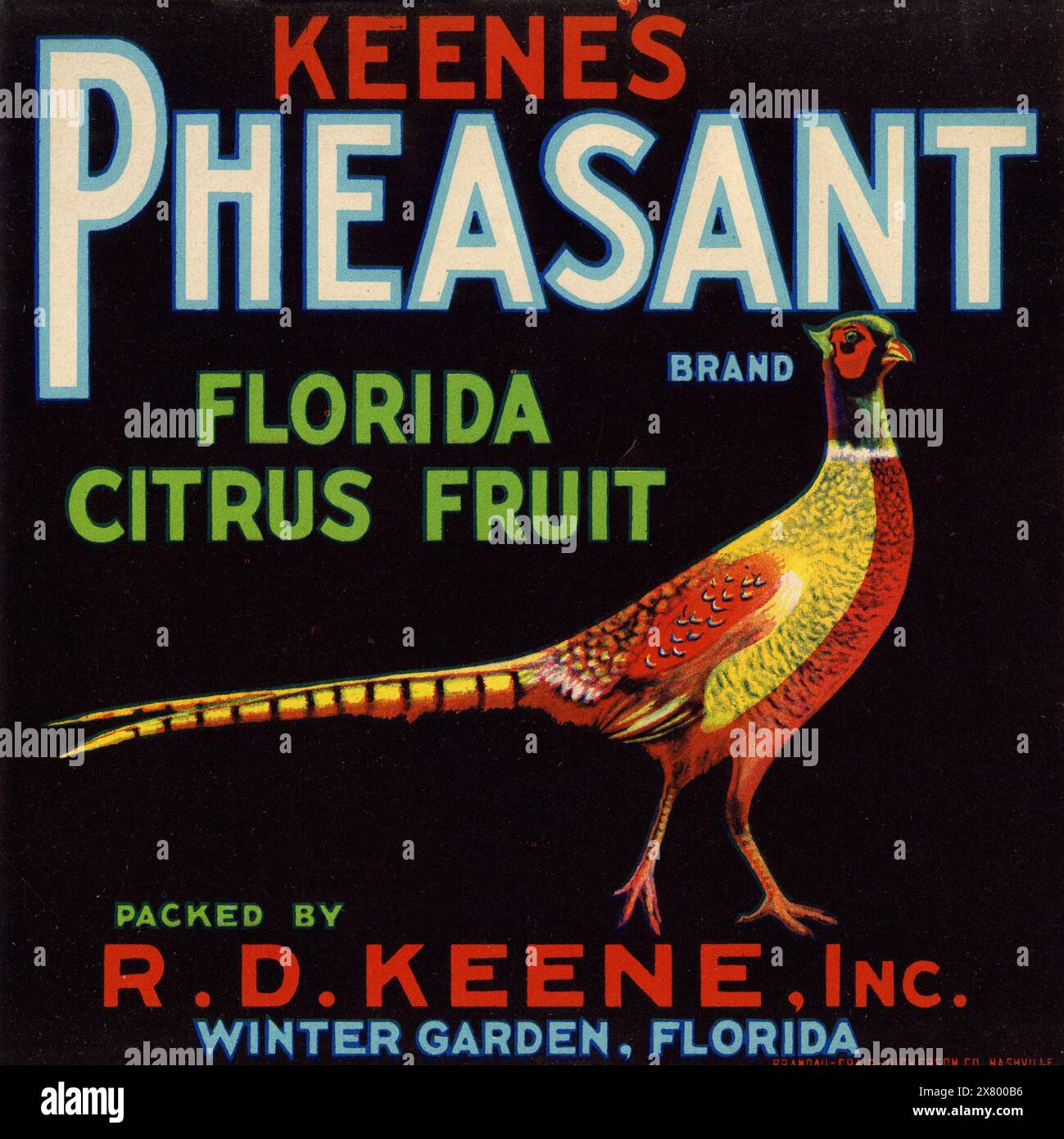 Keene’s Fasan Brand Florida Citrus Fruit Label (1940er Jahre) - anonymer Künstler Stockfoto