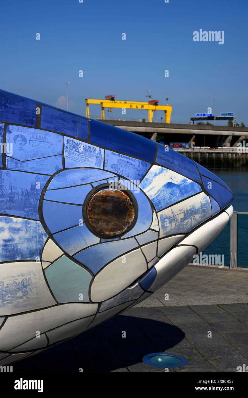 Big Fish Public Artwork Belfast Nordirland Stockfoto