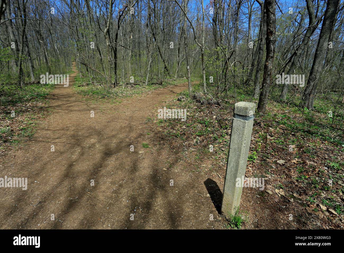 appalachian Trail im shenandoah NP. Der Appalachian Trail, auch A.T. genannt, ist ein Wanderweg im Osten der Vereinigten Staaten, der sich fast 2,20 ausdehnt Stockfoto
