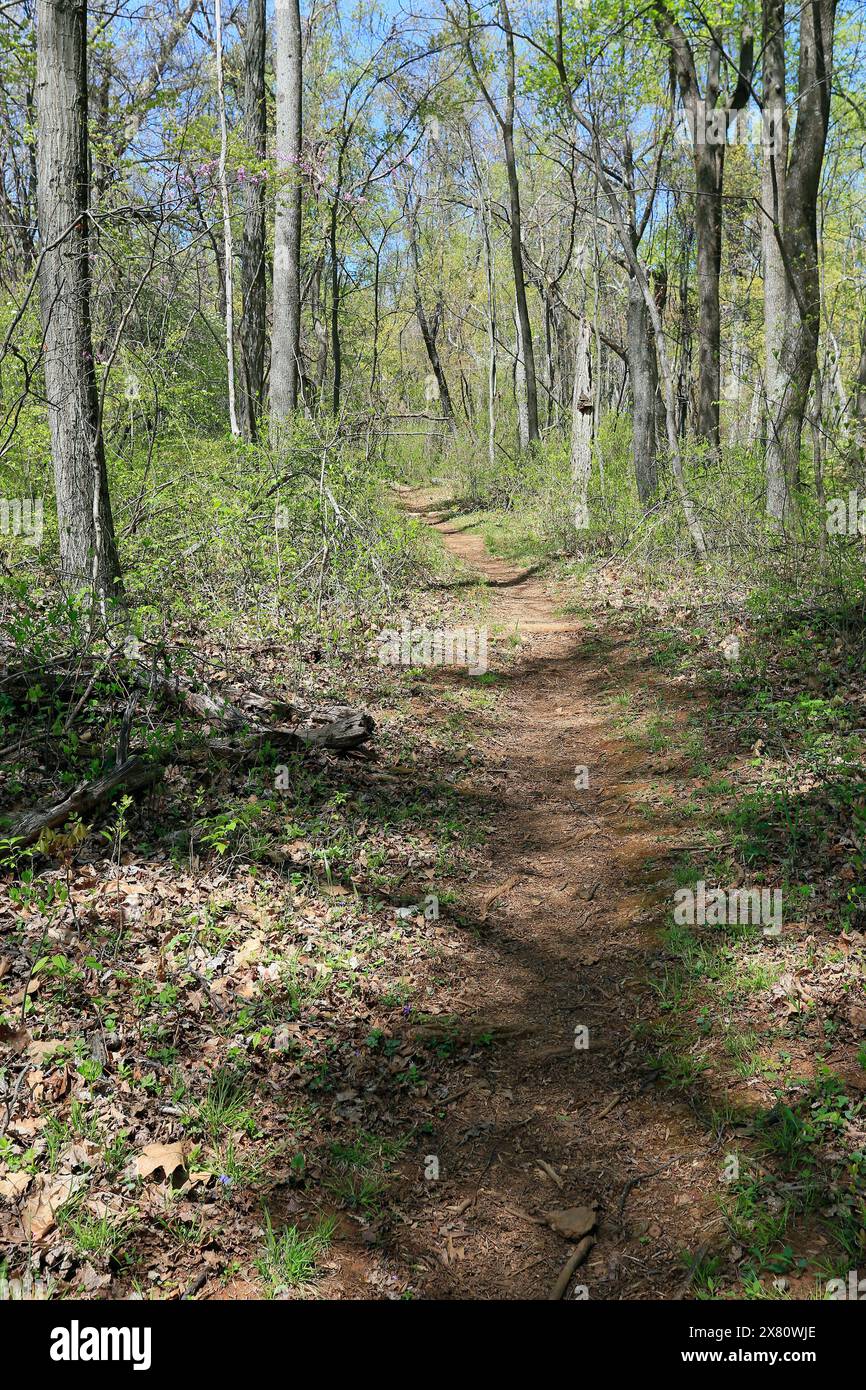 appalachian Trail im shenandoah NP. Der Appalachian Trail, auch A.T. genannt, ist ein Wanderweg im Osten der Vereinigten Staaten, der sich fast 2,20 ausdehnt Stockfoto