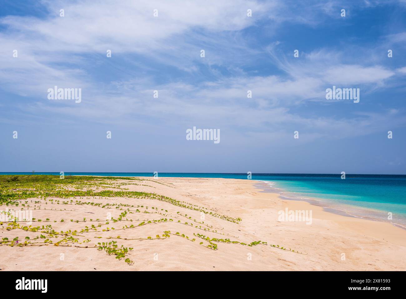 St. Croix, amerikanische Jungferninseln - 10. September 2016: Sandy Point Beach ist leer und abgelegen und eines der am besten gehüteten Geheimnisse von St. Croix. Stockfoto