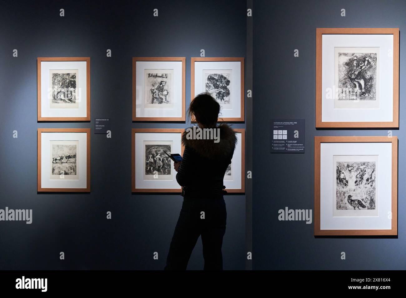 Die Fabeln von La Fontaine, 1927, 1952, Marc Chagall, 1997-1985, Ausstellung „die Farbe der Träume“, Palau Martorell, Museum, Barcelona, Spanien Stockfoto