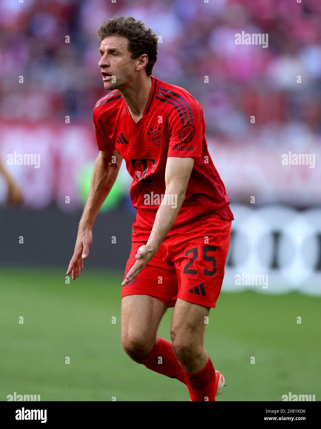 FC Bayern München gegen VFL Wolfsburg Fussball 1. Bundesliga Saison 2023/24 33. Spieltag Allianz Arena München 12.05.2024 © diebilderwelt / Alamy Stock Stockfoto