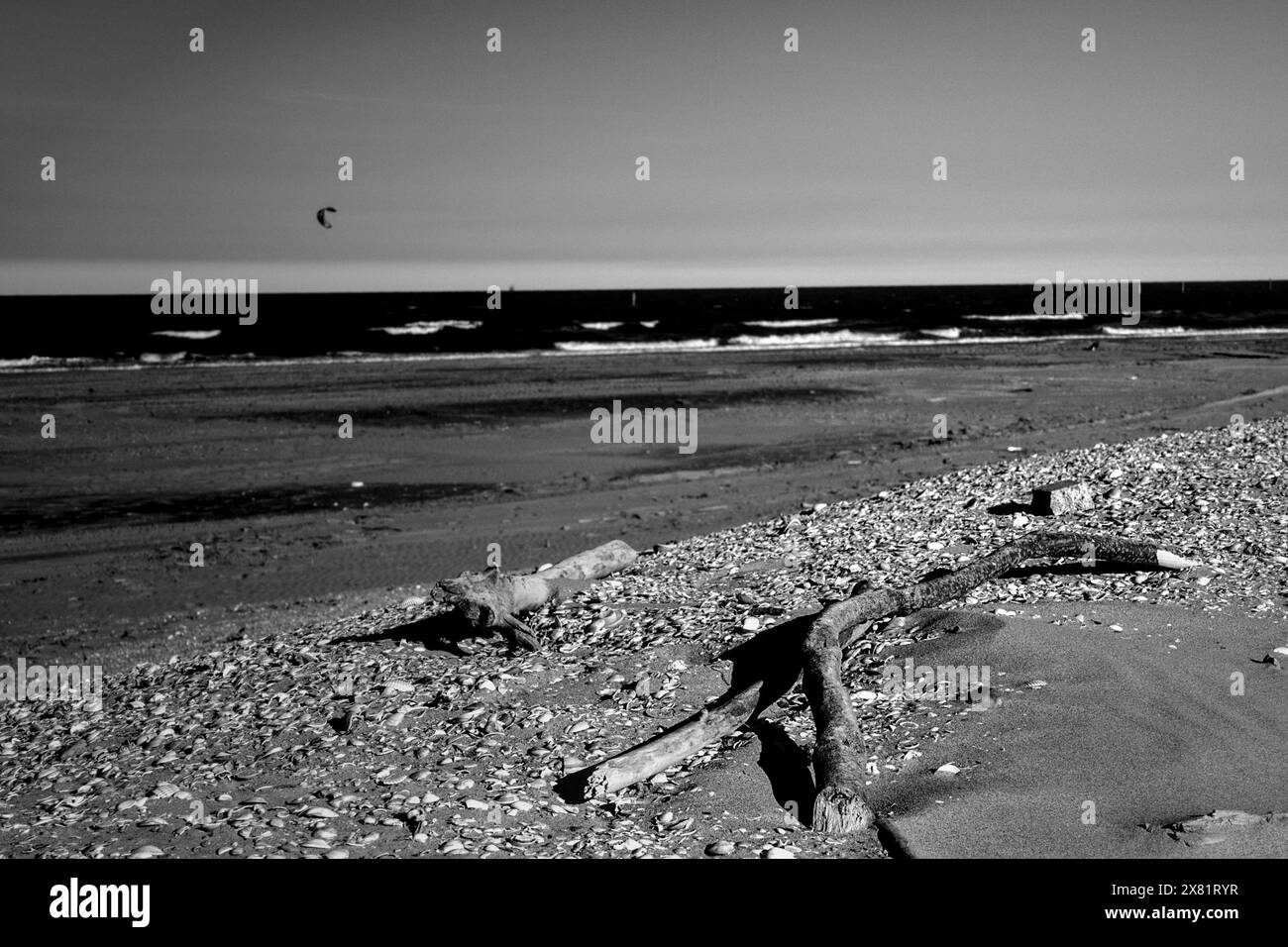Landschaft des Strandes von Marina di Ravenna (Italien) Stockfoto