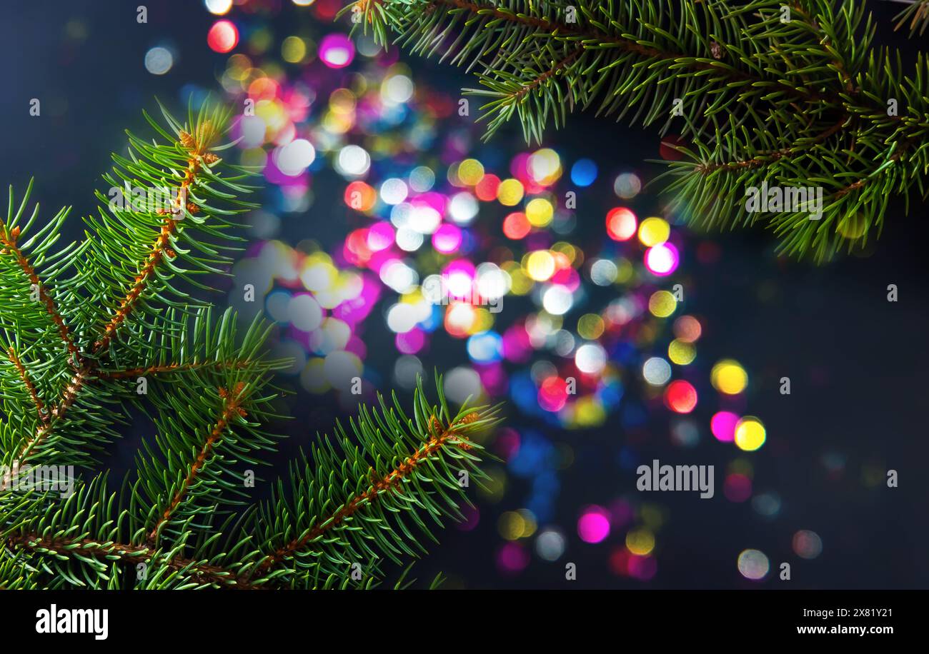 Fichtenzweig auf farbigen Lichtern auf verschwommenem Background. Hintergrundbild zu Weihnachten oder Neujahr. Stockfoto