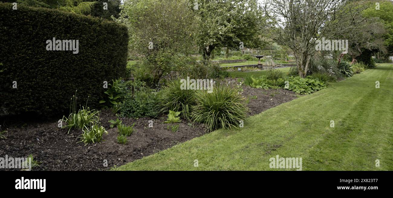 Picton Castle und Gärten, Rhos, Haverfordwest, Pembrokeshire, Südwales, Wales, Großbritannien - Blick auf den ummauerten Garten Stockfoto