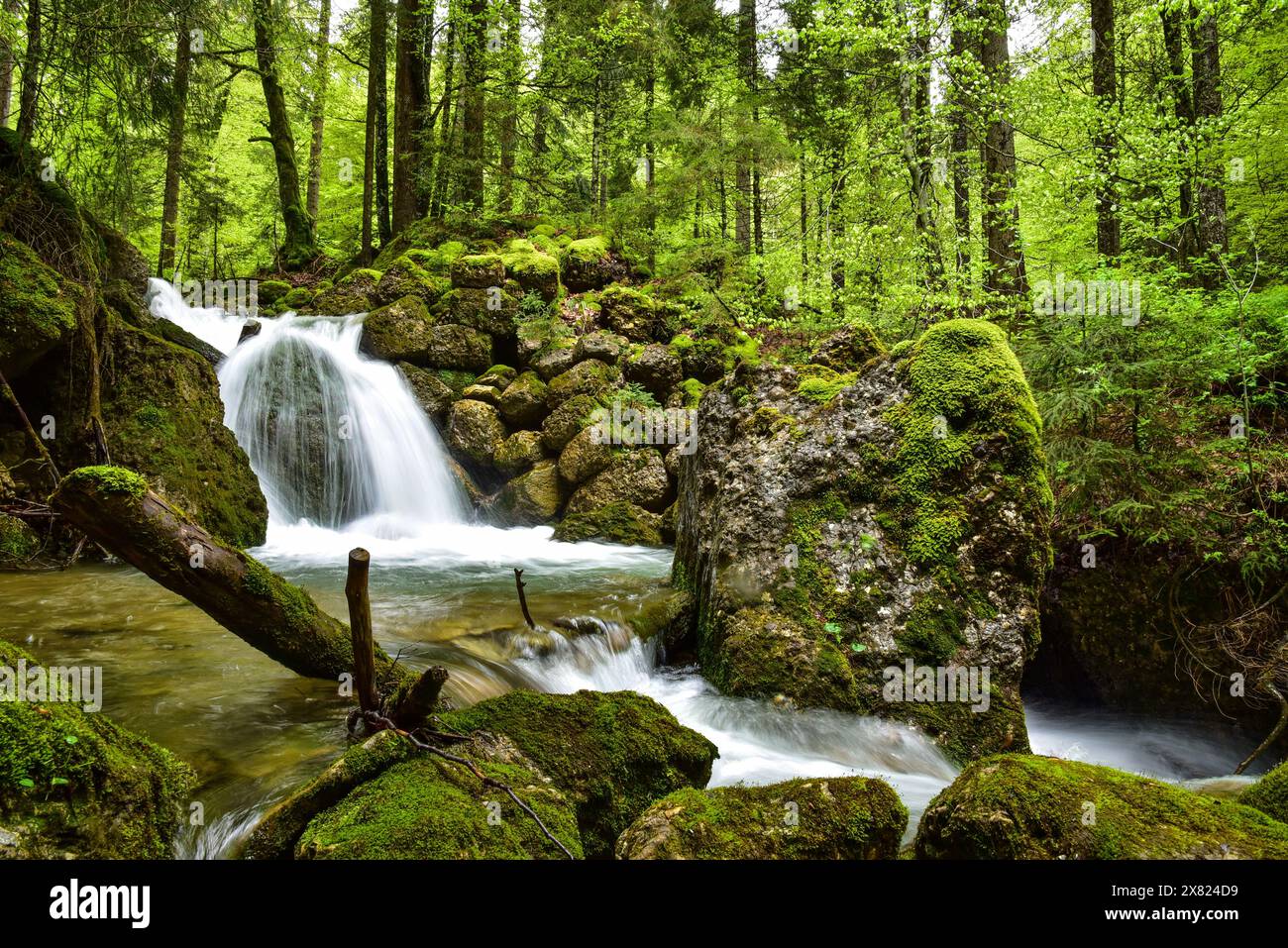 Langzeitbelichtung eines Wasserfalls am Steigbach in der Steigbachtobel bei Immenstadt im Oberallgäu, Bayern, Deutschland, Europa Stockfoto