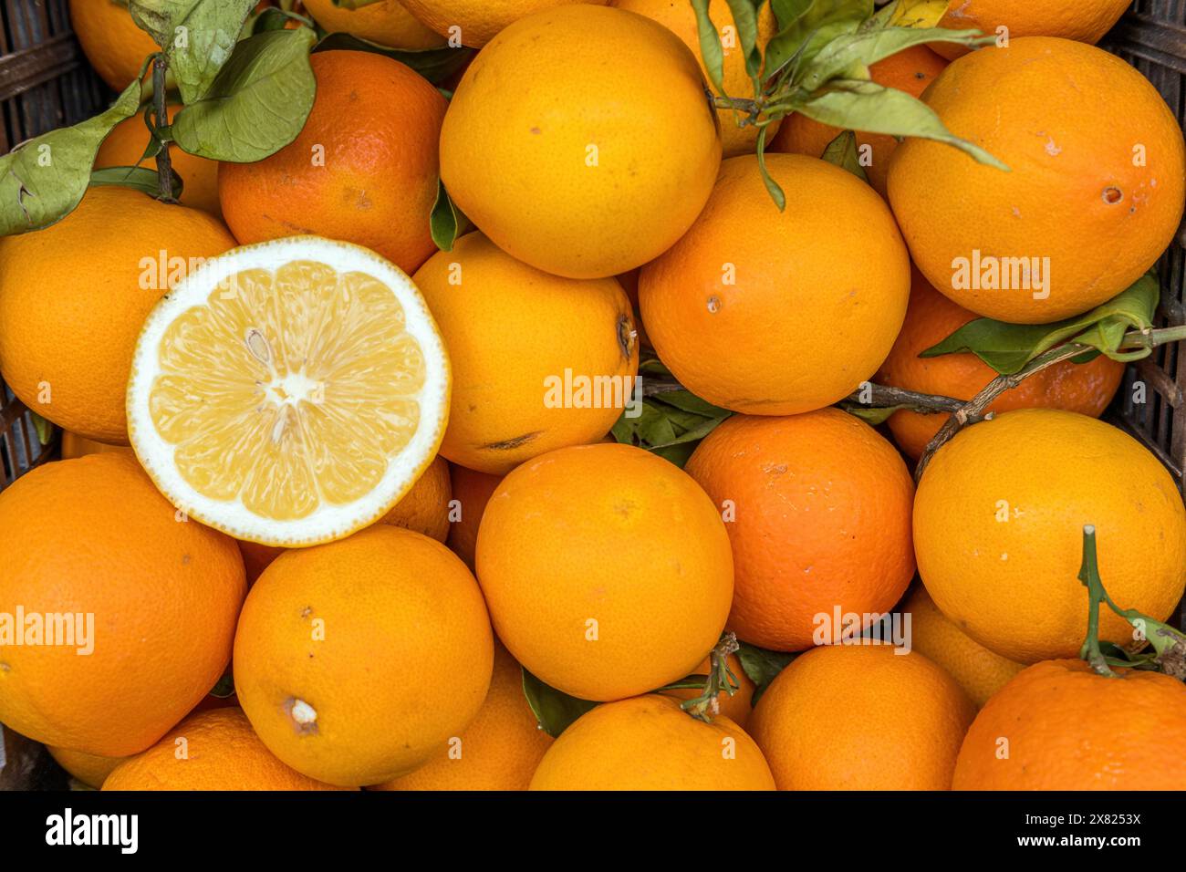 Ein Haufen von Orangen zum Verkauf auf dem Markt Stockfoto