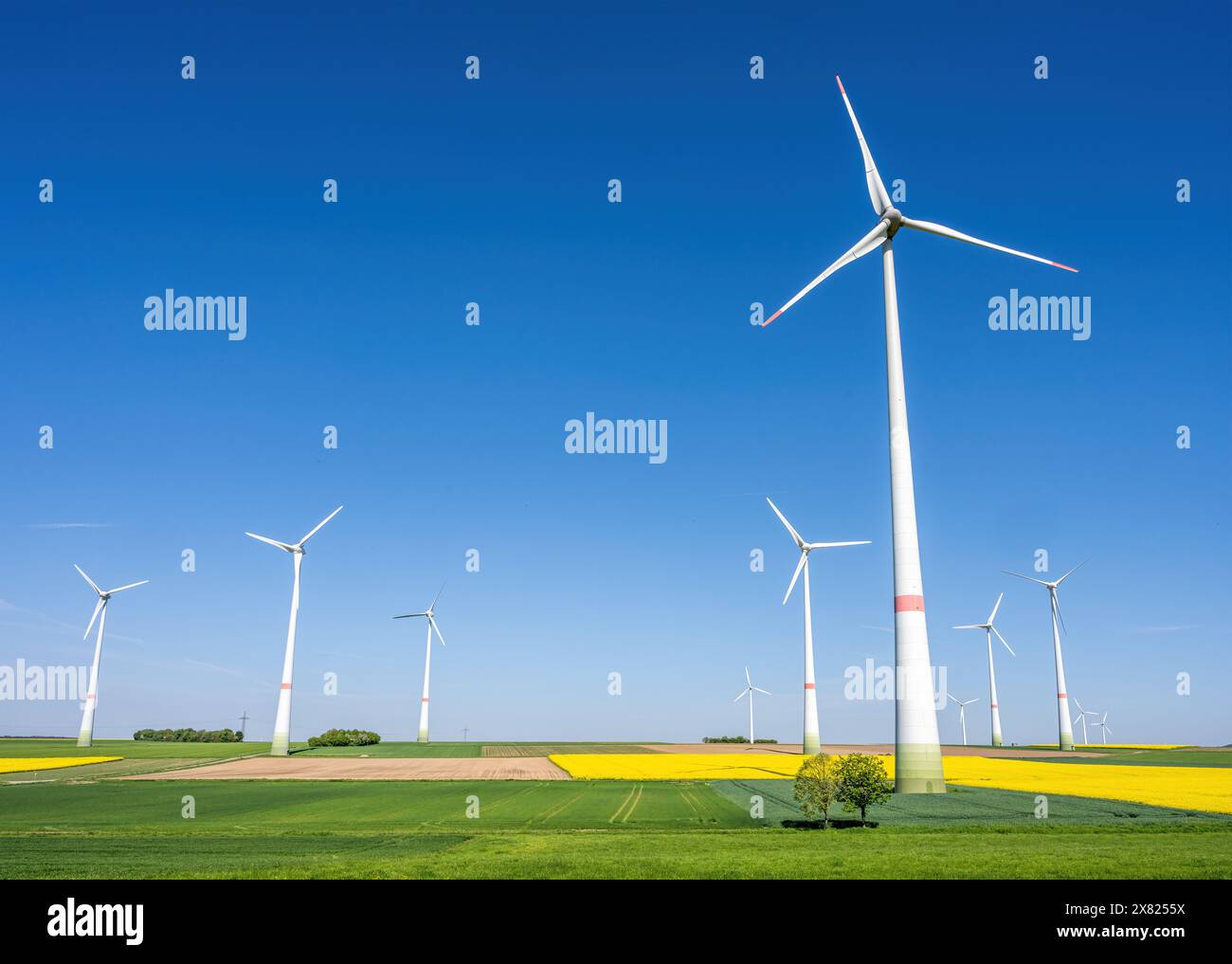 Windturbinen in der Landwirtschaft in Deutschland Stockfoto