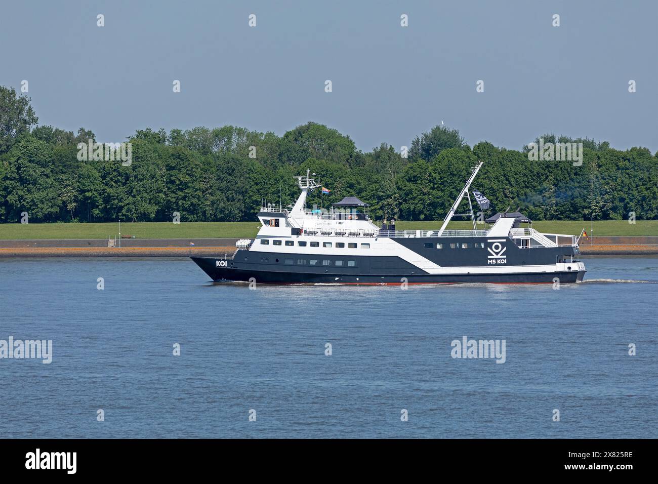 Schiff, MS Koi, Brunsbüttel, Schleswig-Holstein, Deutschland Stockfoto