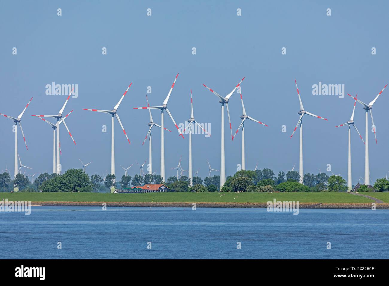 Windpark bei Brunsbüttel, Haus, Elbe, Schleswig-Holstein, Deutschland Stockfoto