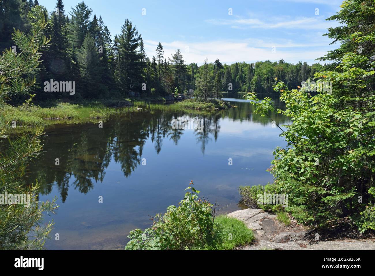 Peck Lake, Algonquin Provincial Park, Ontario, Kanada Stockfoto