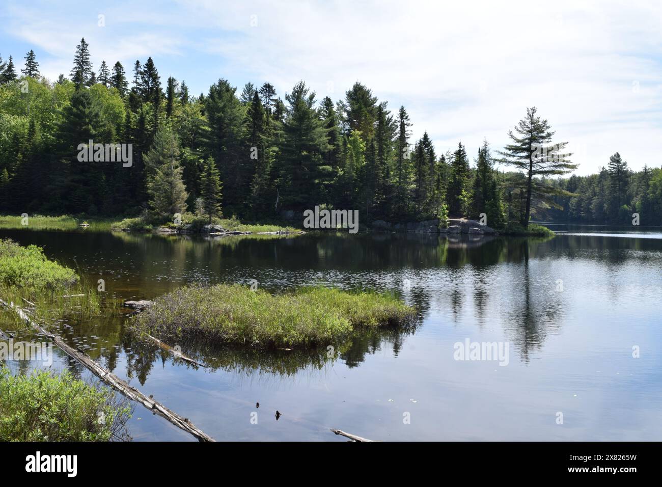 Peck Lake, Algonquin Provincial Park, Ontario, Kanada Stockfoto