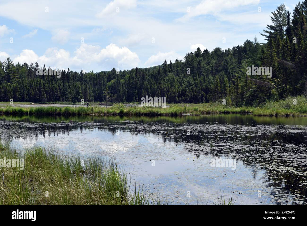 Two Beavers Lake, Algonquin Provincial Park, Ontario, Kanada Stockfoto