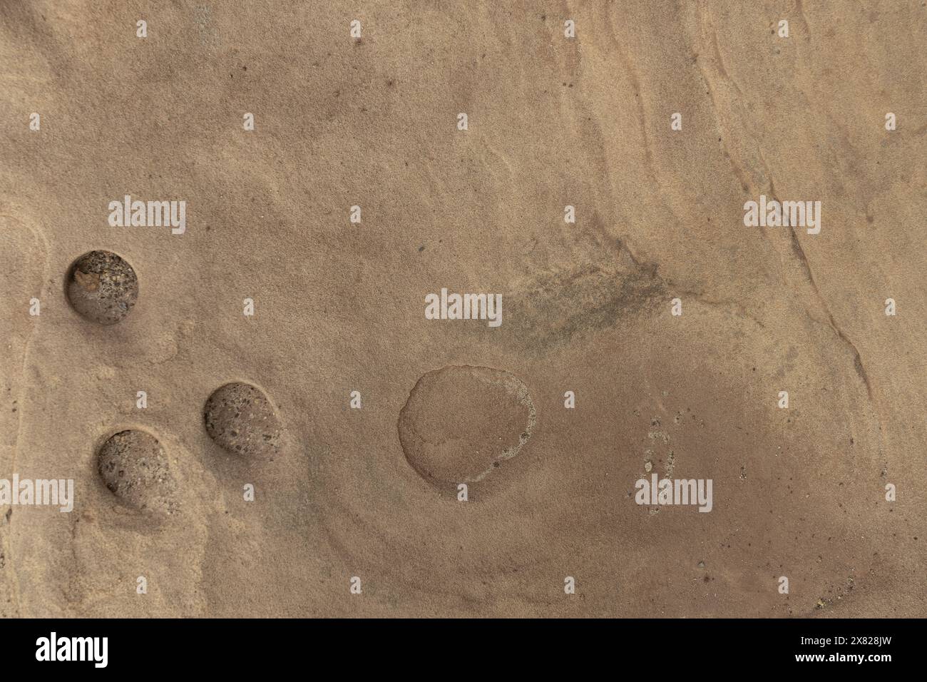 Nahaufnahme von verwittertem Sandstein mit ausgeprägten kreisförmigen Erosionsspuren und natürlichen Texturen. Ideal für geologische Studien und Naturhintergründe. Stockfoto