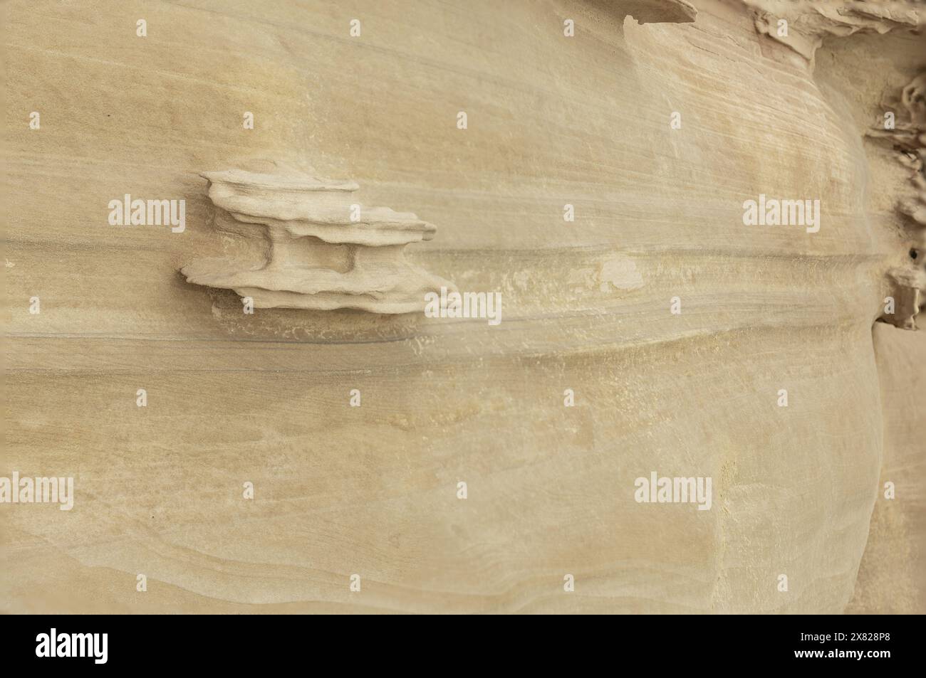 Nahaufnahme einer glatten Sandsteinoberfläche mit sanften Erosionsmustern und subtilen Texturen. Ideal für Hintergründe, Naturthemen und geologische stu Stockfoto