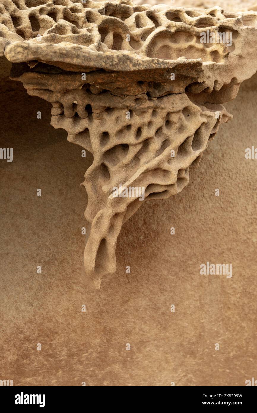 Nahaufnahme von Sandsteinfelsen mit detaillierten Wabenverwitterungsmustern und natürlichen Texturen. Ideal für geologische Studien und Naturthemen. Stockfoto