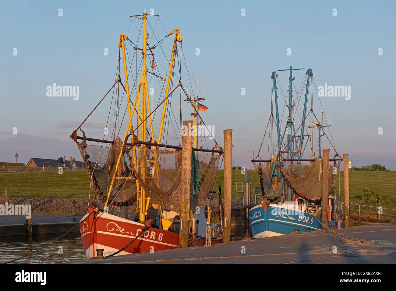 Krabbenfischfänger, Hafen, Dorum-Neufeld, Wursterland, Niedersachsen, Deutschland Stockfoto