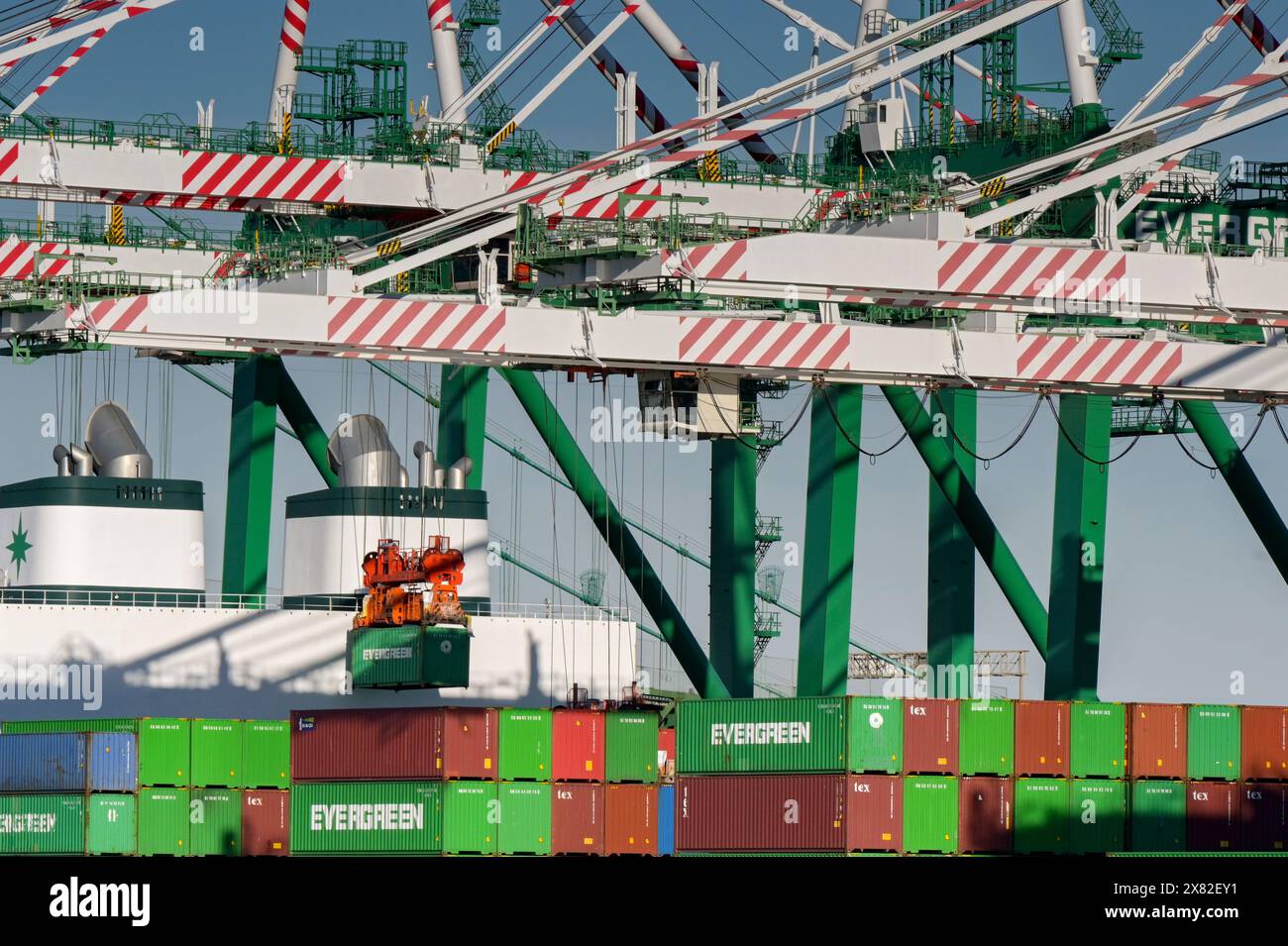 Los Angeles, Kalifornien, USA - 12. Januar 2024: Containerkran hebt einen Evergeen-Container im Hafen von Los Angeles. Stockfoto