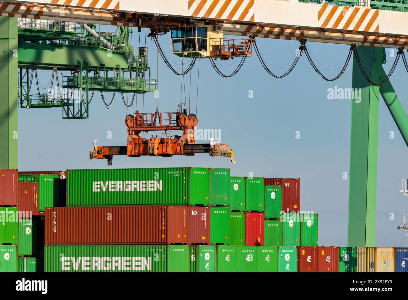 Los Angeles, Kalifornien, USA - 12. Januar 2024: Containerkran entlädt ein Containerschiff im Hafen von Los Angeles. Stockfoto