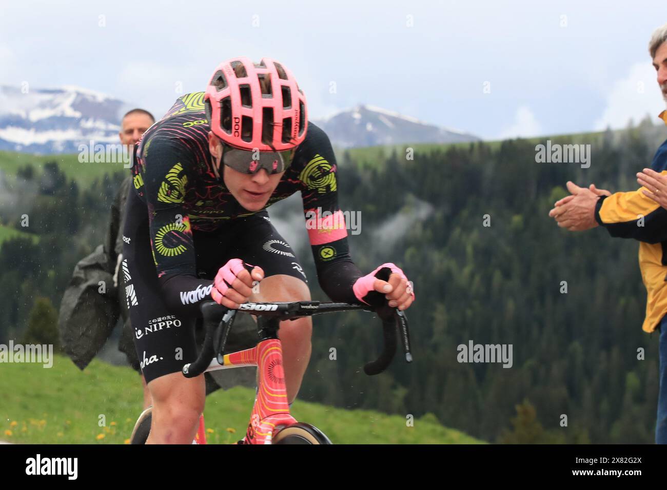 Pieve Di Tesino, Italien. Mai 2024. © Pierre Teyssot/MAXPPP; Giro d'Italia 2024 UCI Radrennen - Stufe 16. Pieve di Tesino, Italien am 22. Mai 2024. Etappe 17. Von Wolkenstein in Gröden bis Passo Brocon. Tadej Pogacar (SLO) das Team Emirates der Vereinigten Arabischen Emirate ist mit dem rosa Trikot weiterhin führend. Georg Steinhauser (EF Education) aus Deutschland gewinnt die Bühne. Georg Steinhauser (EF Education) © Pierre Teyssot/Maxppp Credit: MAXPPP/Alamy Live News Stockfoto