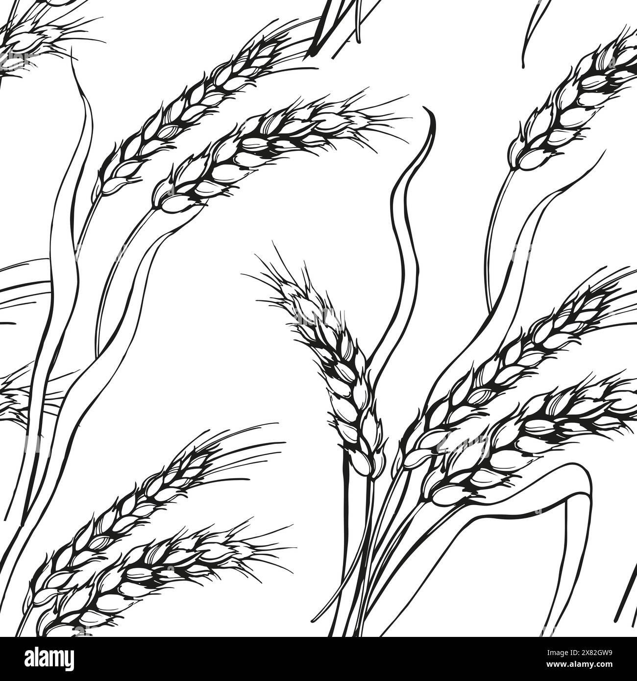 Vektor nahtloses Muster der Ohren des Weizens, Hand gezeichnete Zweige des Weizens, Landwirtschaft Thema, schwarz-weiße Skizze des Ernte Thema isoliert auf weiß b Stock Vektor