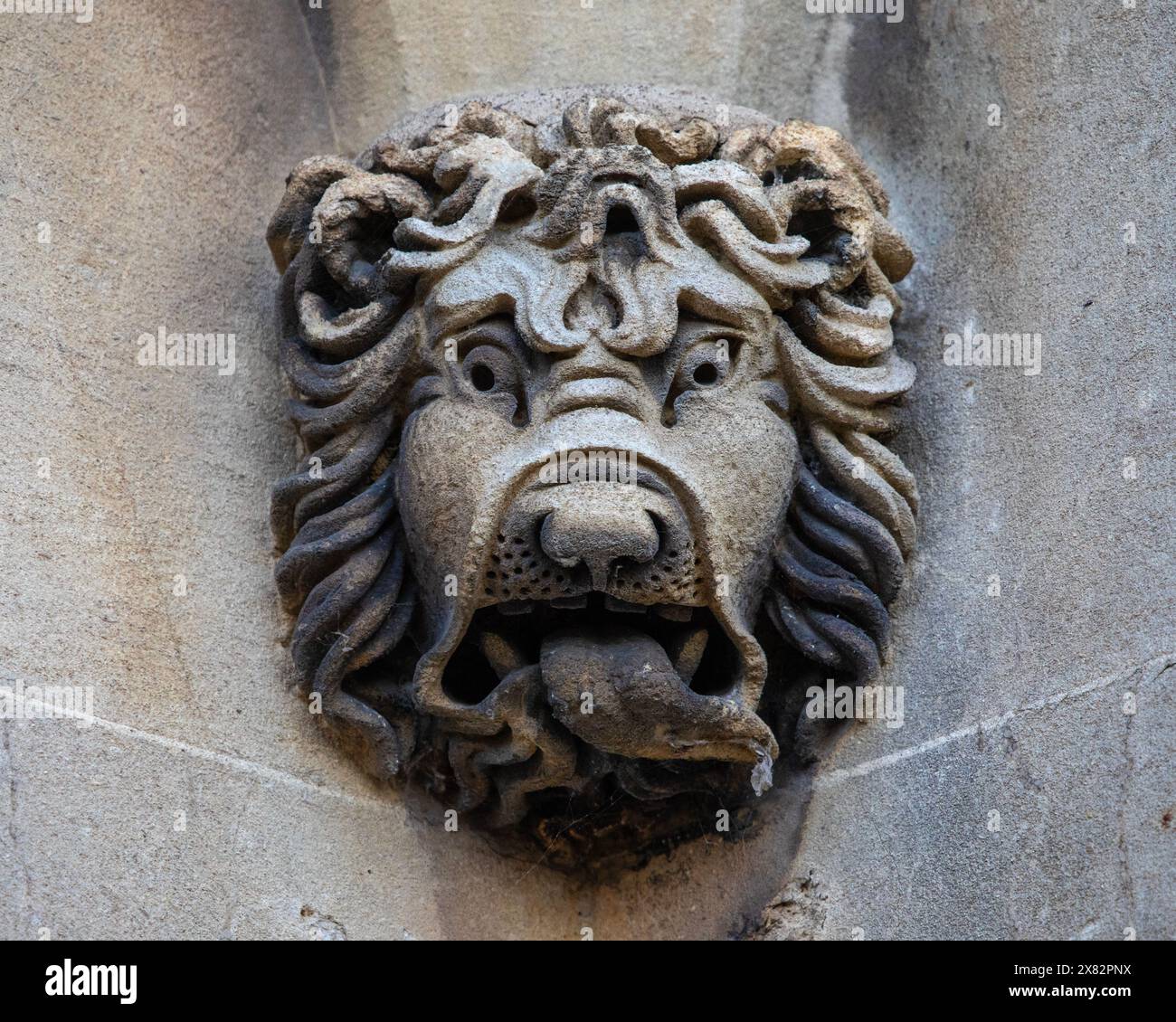 Windsor, Großbritannien - 21. Oktober 2023: Nahaufnahme eines Löwengargoyle auf Windsor Castle in Berkshire, Großbritannien. Stockfoto
