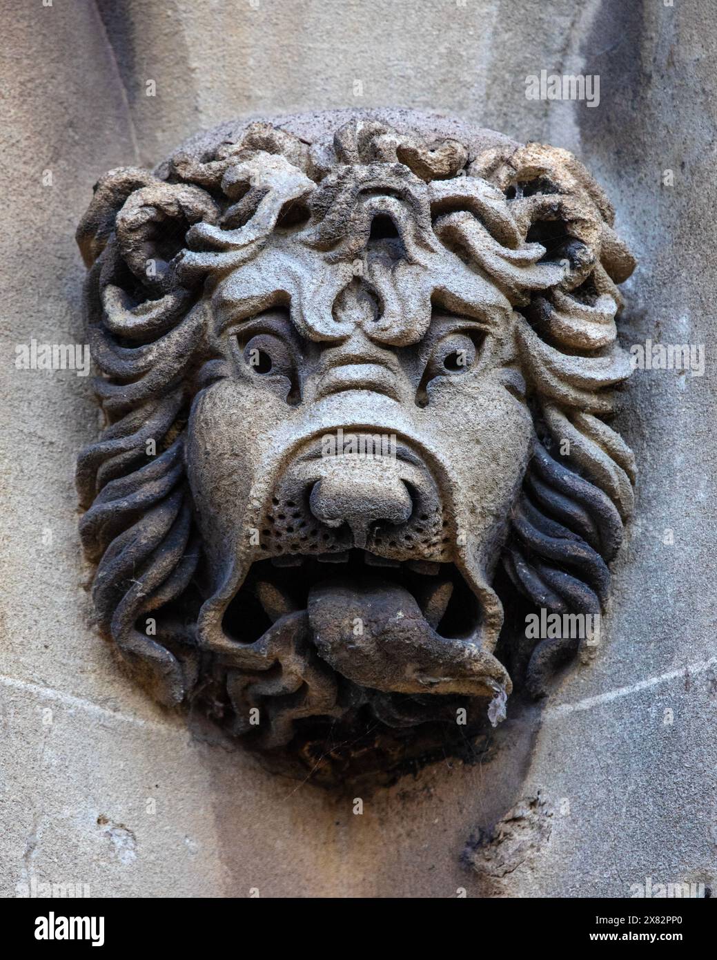 Windsor, Großbritannien - 21. Oktober 2023: Nahaufnahme eines Löwengargoyle auf Windsor Castle in Berkshire, Großbritannien. Stockfoto