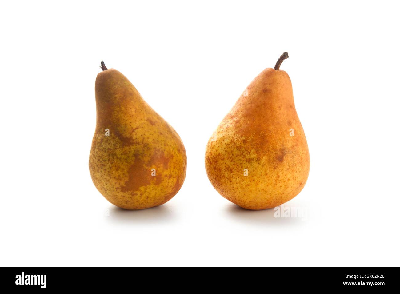 Zwei reife saftige Birnenfrüchte mit weichem Schatten isoliert auf weißem Hintergrund mit Schnittpfad. Stockfoto