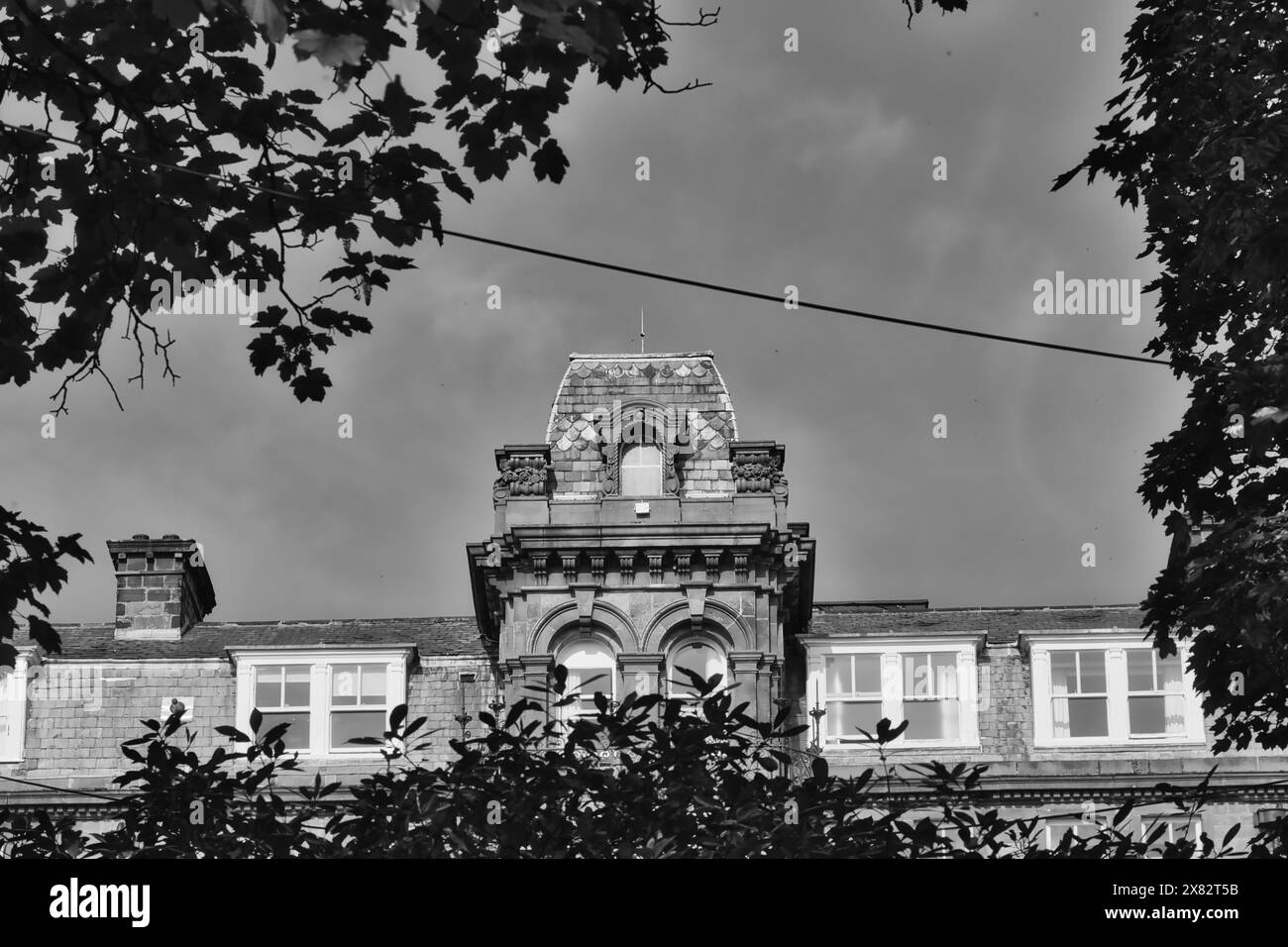Schwarzweiß-Foto eines historischen Gebäudes mit kunstvollen architektonischen Details, eingerahmt von Baumästen. Stockfoto