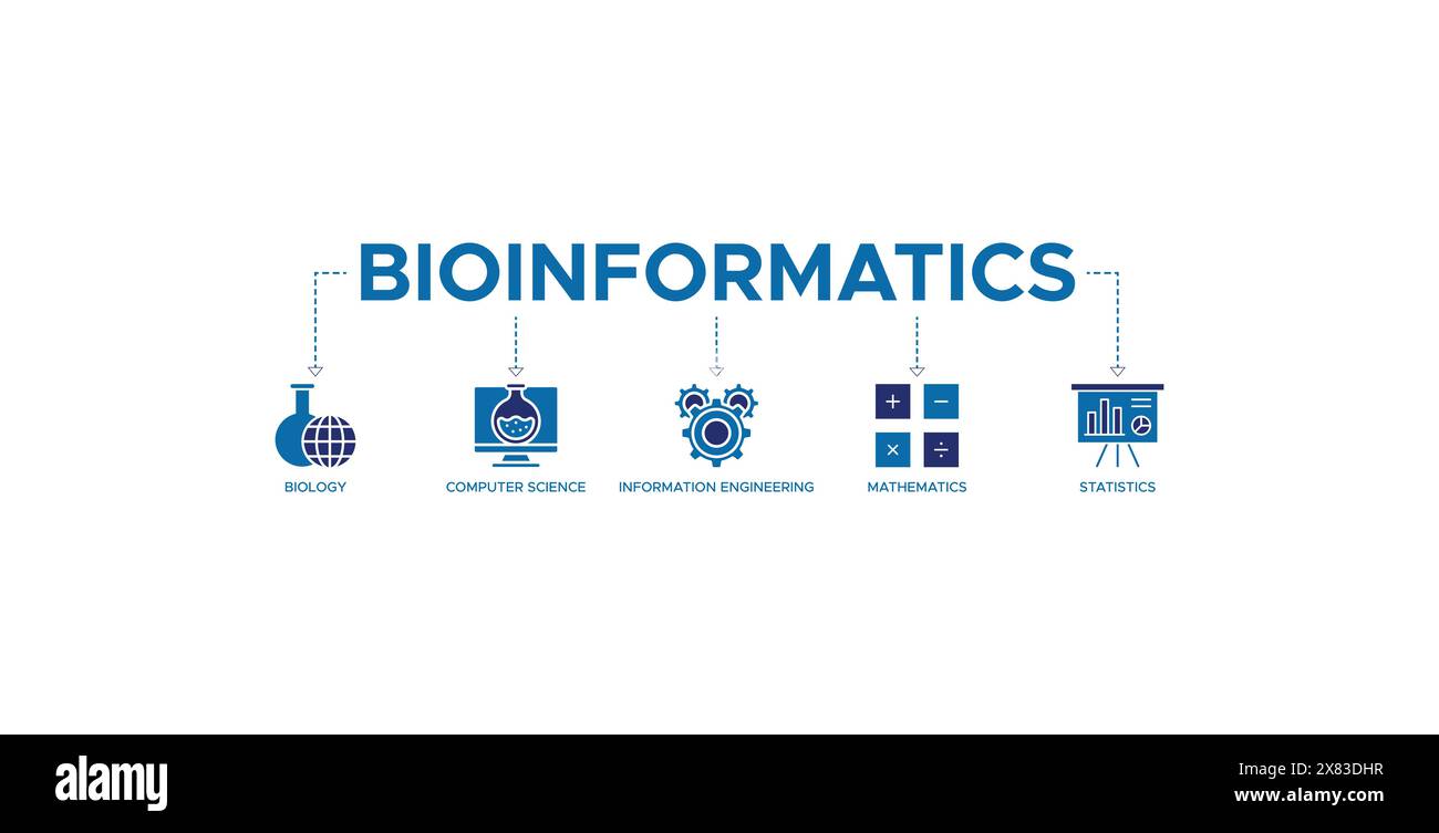 Bioinformatik Banner Web Icon Vektor Illustration Konzept mit Ikonen der Biologie, Informatik, Informationstechnik, Mathematik und Statistik Stock Vektor