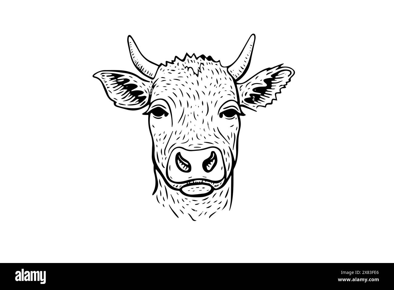 Vintage Cow Head Sketch: Handgezeichnete Vektor-Illustration von Milchvieh. Stock Vektor