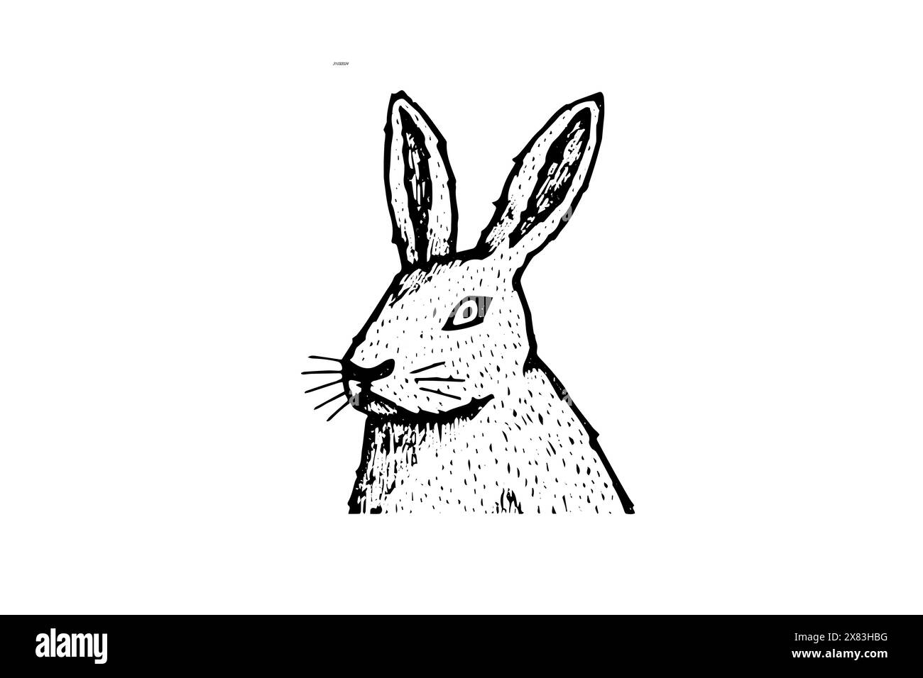 Vintage Hase Kopf Vektor Skizze: Gravierte Kaninchen Illustration, Osterporträt. Stock Vektor