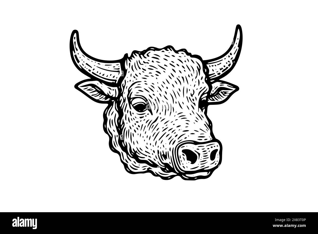 Vintage Cow Head Sketch: Vektor-handgezeichnete Illustration von Milchvieh. Stock Vektor