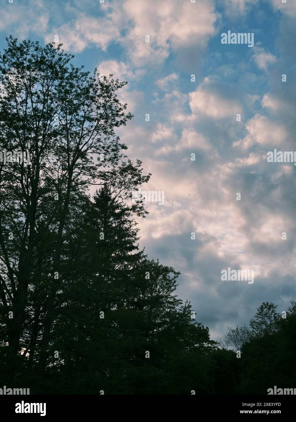 Ein dramatischer Himmel in Elizaville, New York Stockfoto