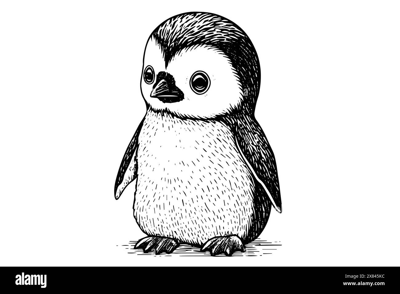 Gravierte Skizze eines niedlichen Baby-Pinguins: Vektor-Tierillustration der antarktischen Tierwelt. Stock Vektor