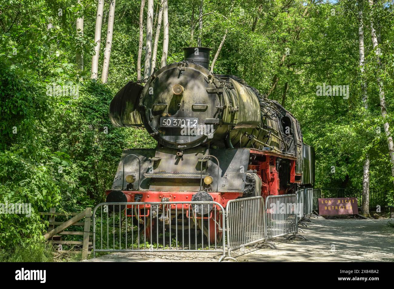 Ausgemusterte Lokomotive Baureihe 50, Naturpark Schöneberger Suedgelaende, Prellerweg, Schöneberg, Berlin, Deutschland Stockfoto