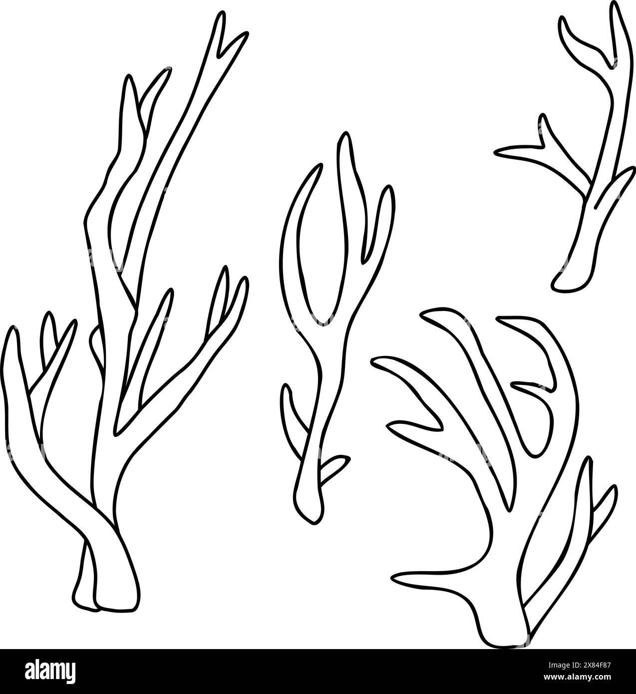 Eine Reihe von Ozean, Meer Unterwasser Korallen. Handgezeichnete Vektorillustration isoliert auf weißem Hintergrund. Grafischer Schwarzweiß-Linienstil. Für Clip Stock Vektor