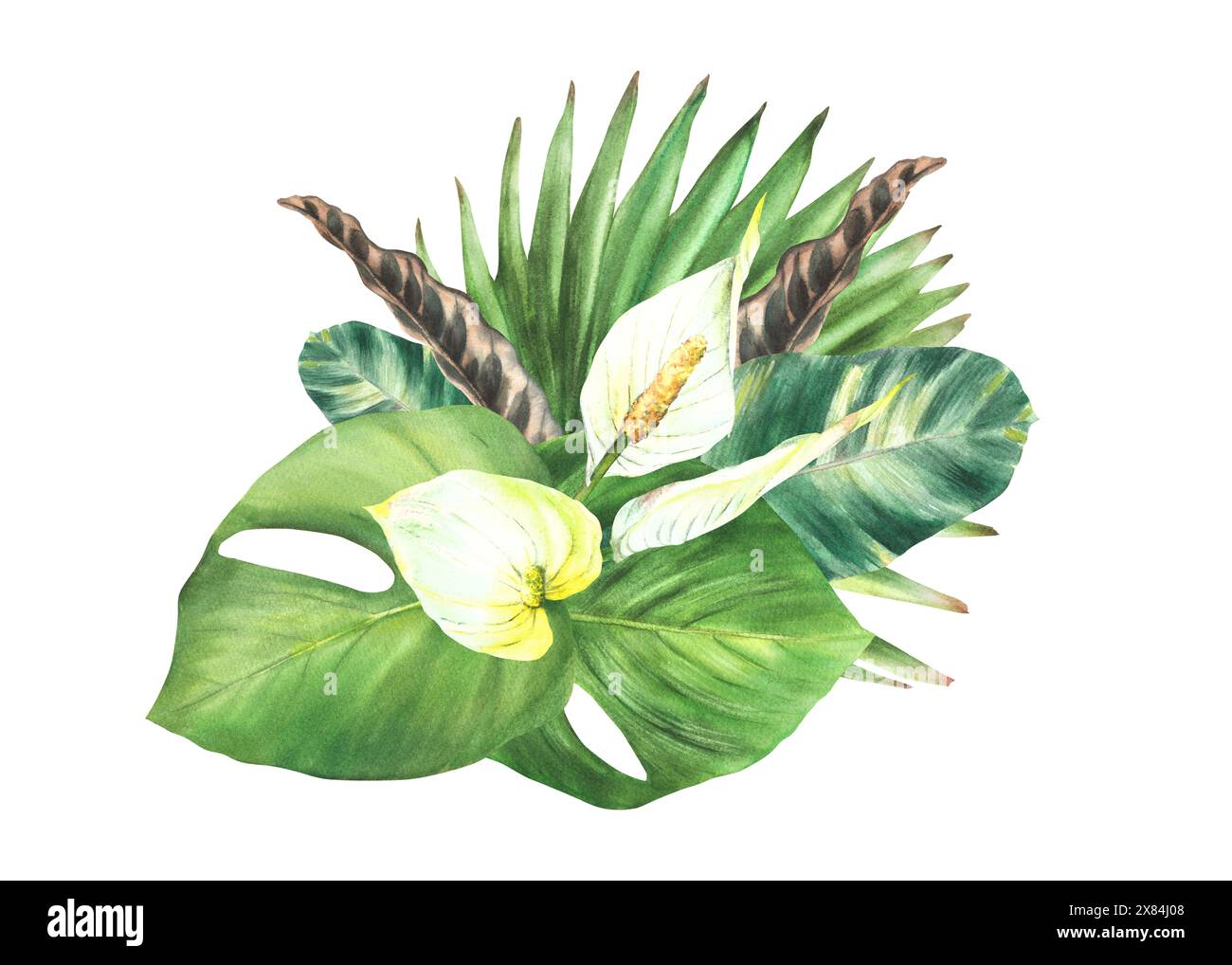 Tropische Blätter und Blumen in Wasserfarben. Weiße Anthuriumblüten, Palmblatt, calathea Zuhause. Exotische Südstaaten-Knospen-Dschungel-Grün-Clipart Stockfoto