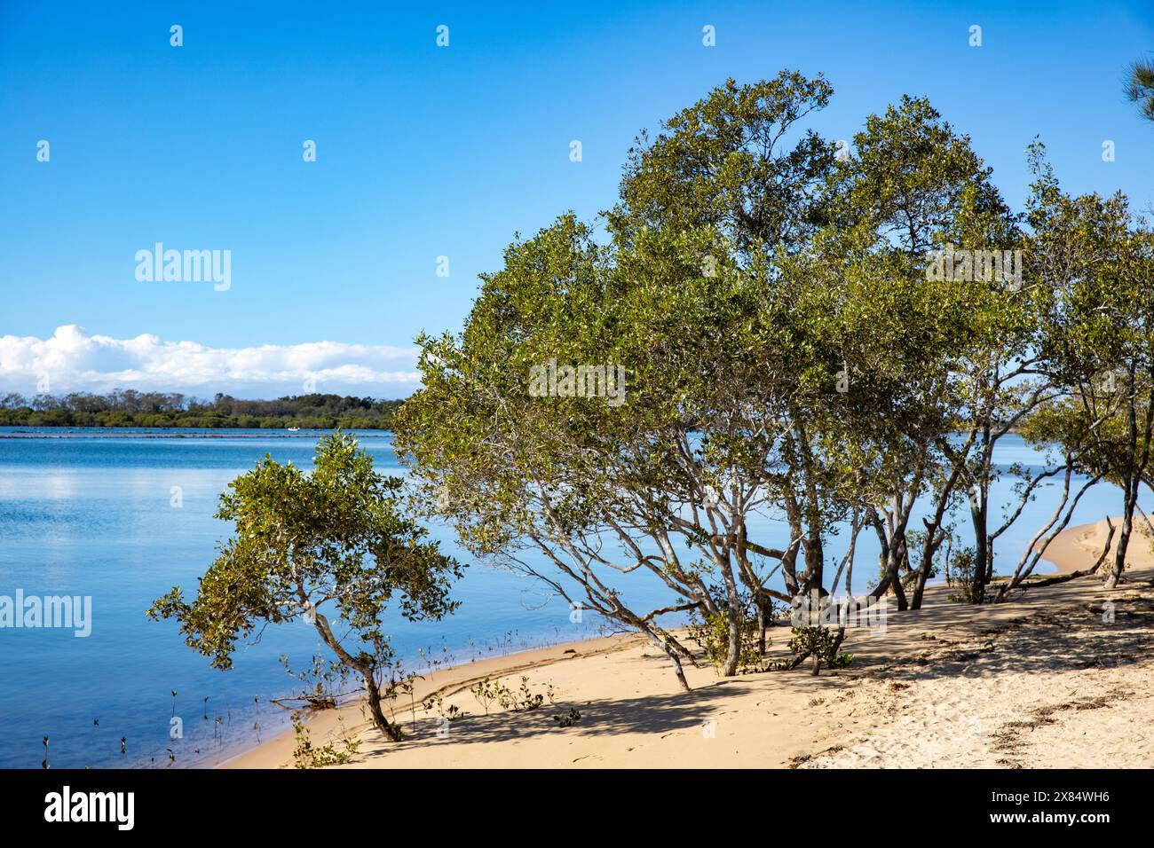 Urunga, Stadt an der Küste in der Nähe von Coffs Harbour, Urunga Lagune, wo Kalang und Bellinger Flüsse am Meer aufeinander treffen, herbstlicher blauer Himmel, NSW, Australien Stockfoto