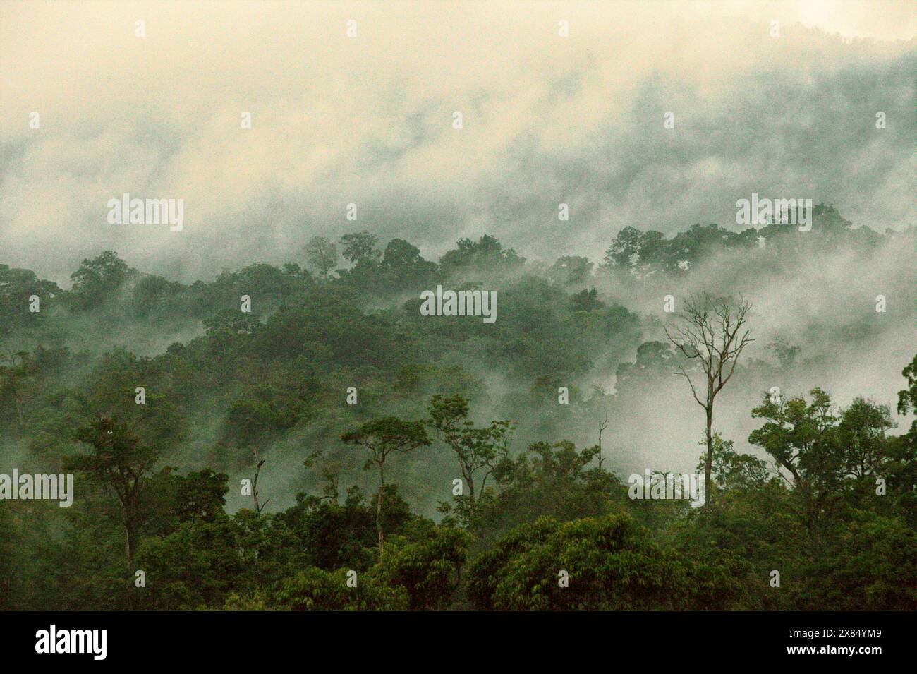 Regenwaldlandschaft am Fuße des Mount Tangkoko und des Mount Duasudara (Dua Saudara) in Bitung, Nord-Sulawesi, Indonesien. Stockfoto