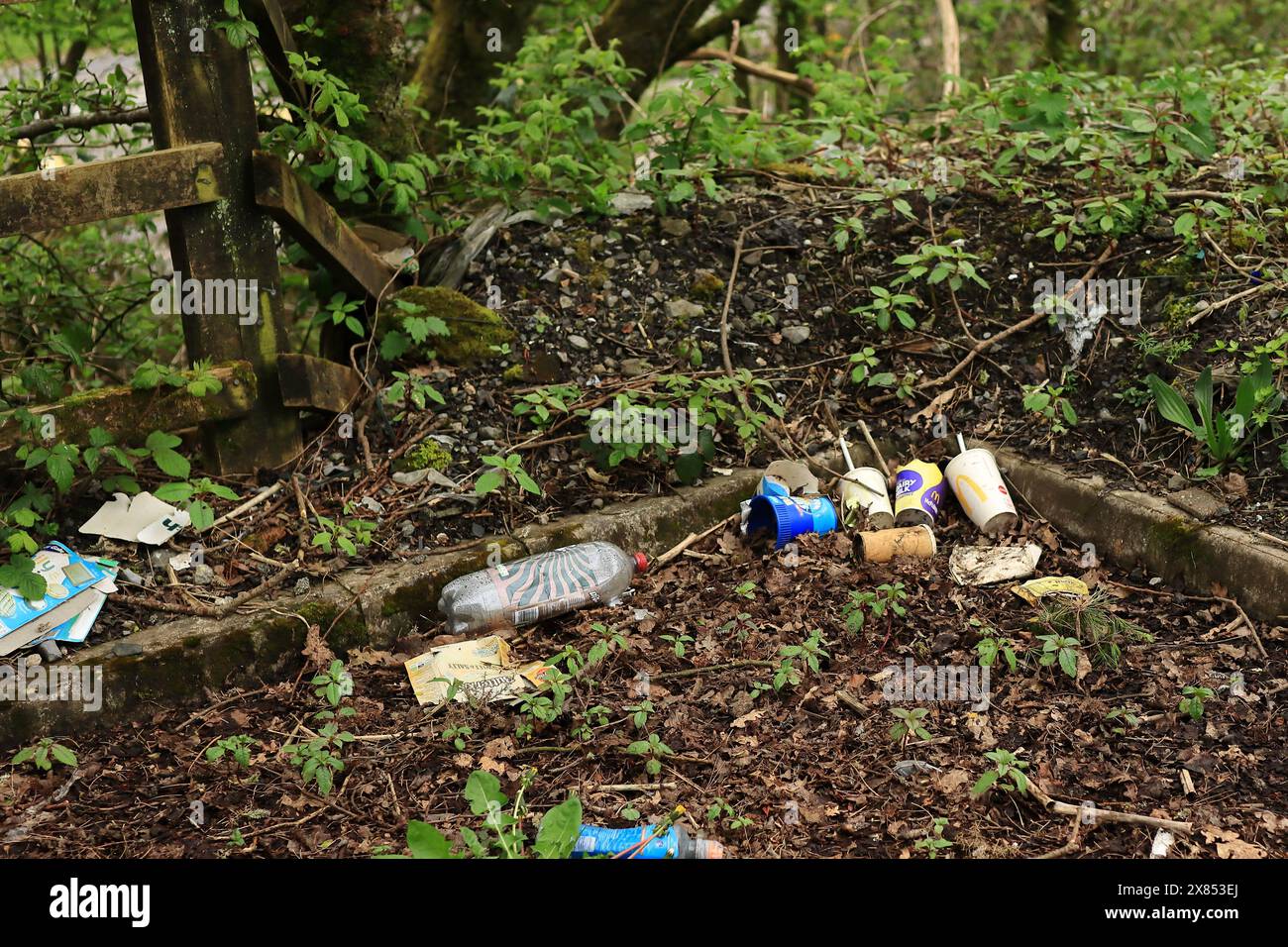 Ein Macdonalds-Take-away-Becher und andere Lebensmittel- und Getränkeverpackungen auf dem Boden im Cross Hands Industrial Estate. 27. April 2024. Cross Hands ist ein Dorf in Carmarthenshire, Wales, und liegt in einem Gebiet von bedeutendem Erbe, Kultur und ländlicher Schönheit, bekannt als Gwendraeth Valley. Stockfoto