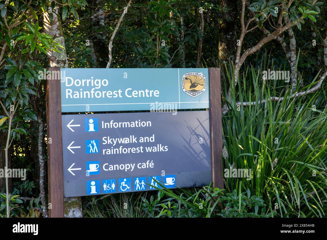 Dorrigo Nationalpark im regionalen New South Wales mit Nationalparkschild für Regenwald- und Skywalk-Spaziergänge und Informationszentrum, NSW, Australien Stockfoto