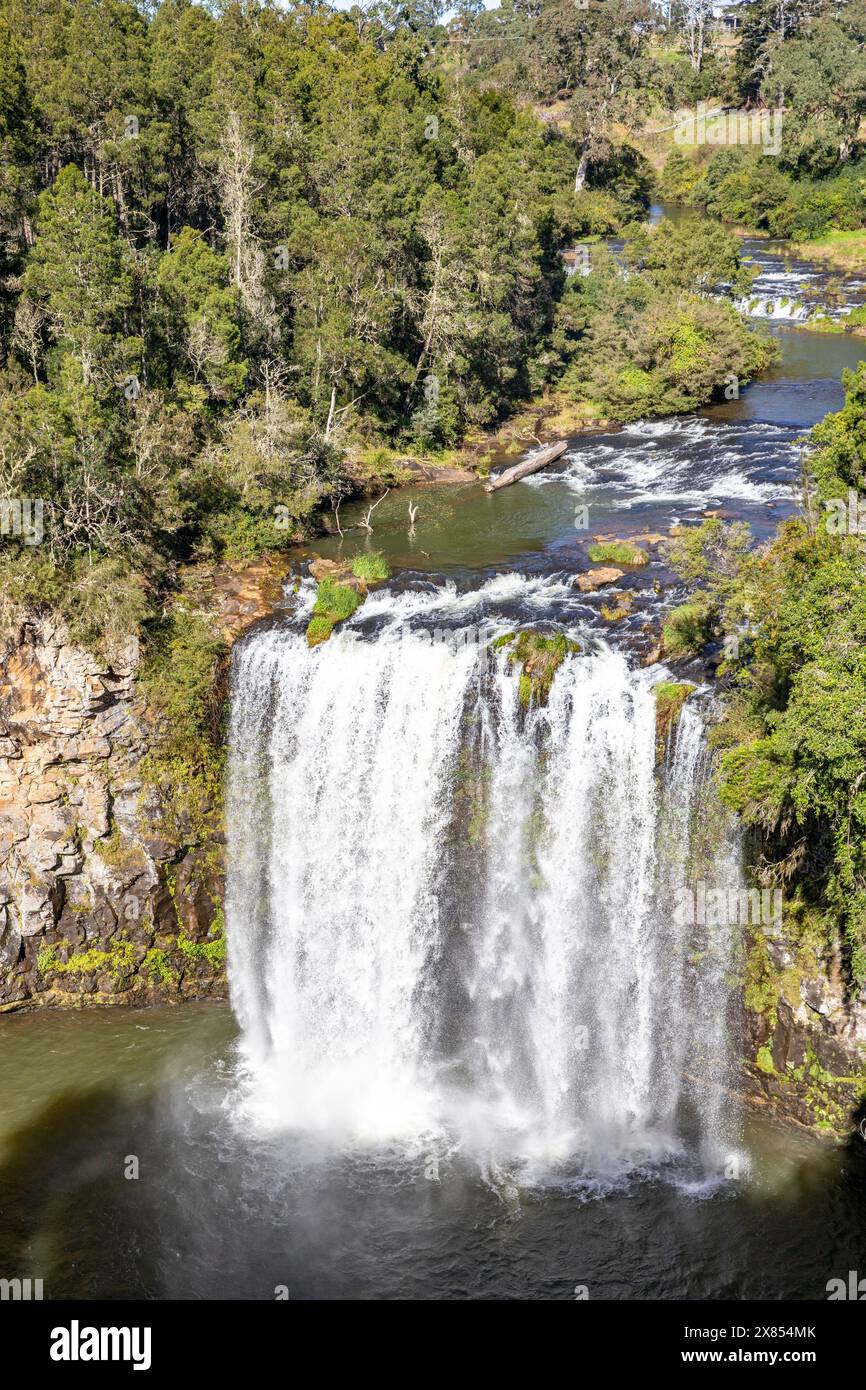 Dangar Falls Wasserfall mit 30 m Fallhöhe, in vollem Fluss nach jüngsten Regenfällen, Dorrigo in der Region New England in New South Wales, Australien Stockfoto