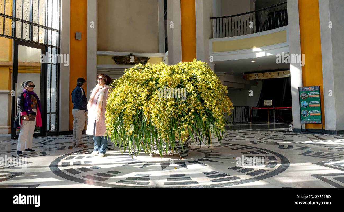Seilbahnstation nach Fanxipan, Stadt Sa Pa, Provinz Lao Cai, Vietnam - 20. Februar 2024: Bewundern Sie den wunderschönen Topf mit cymbidium-Orchideen in der Stockfoto