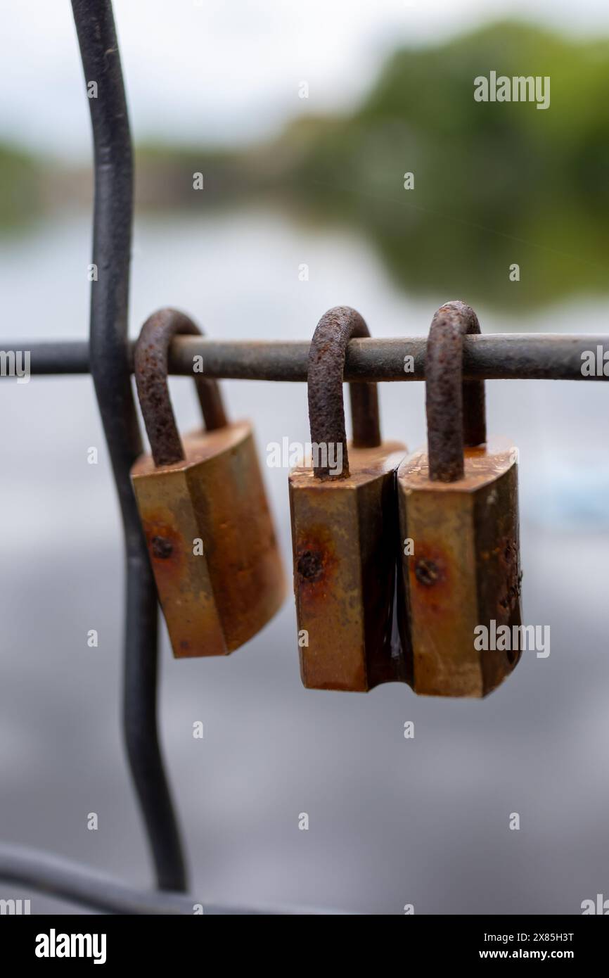 Nahaufnahme mehrerer rostiger Vorhängeschlösser auf einem Metallzaun, die Sicherheit, Zeit und Verfall symbolisieren. Stockfoto