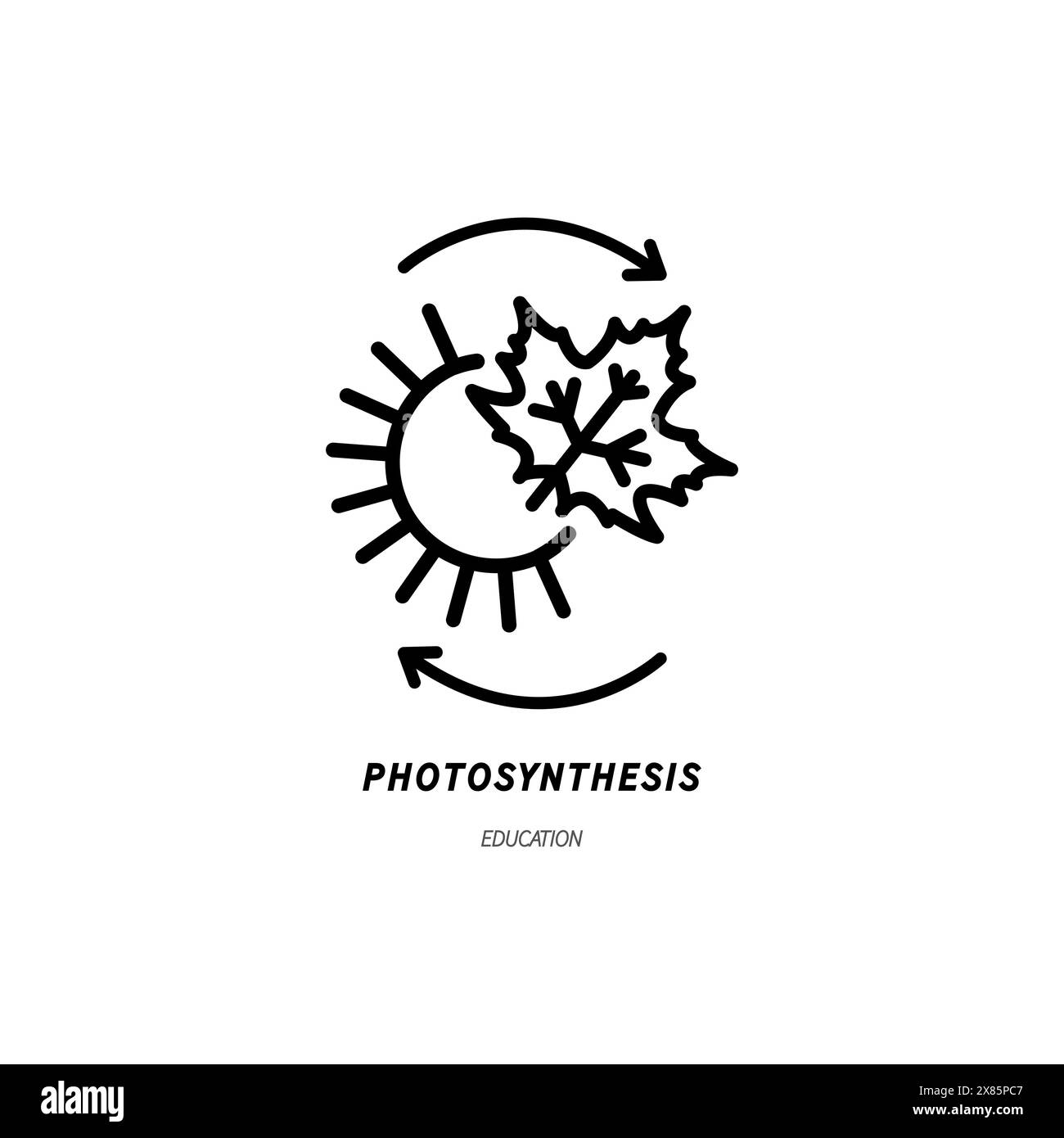 Photosynthese-Symbol mit Pflanze und Sonne, Vektor-dünne Linien-Illustration für natürlichen Energieaustausch, Pflanzenbiologie, Nachhaltigkeit, Umwelt und Öko Stock Vektor
